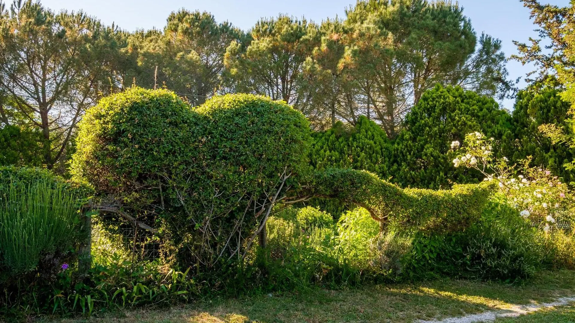 Antico Podere Carbone Grosseto Farm stay