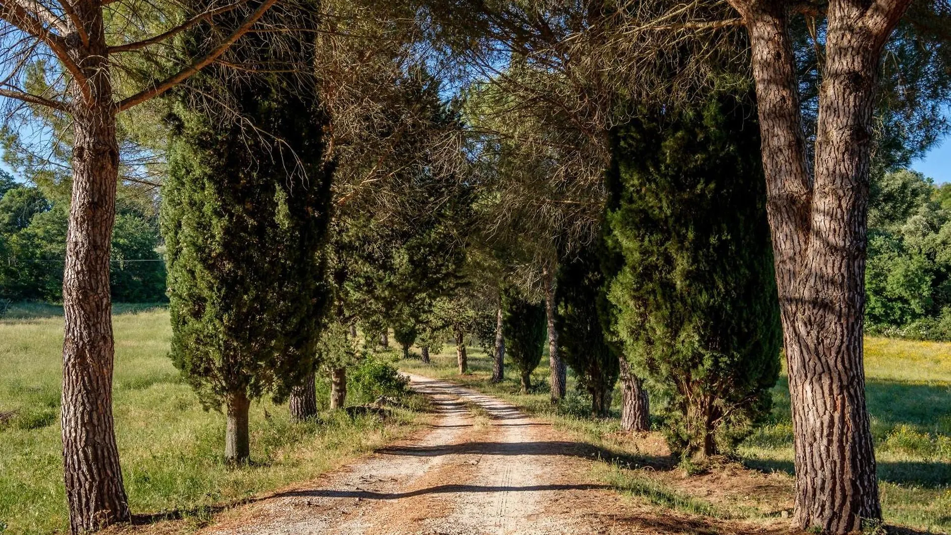 Antico Podere Carbone Grosseto